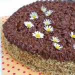 orechova torta recept