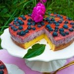 čučoriedková torta s tvarohom a želatínou