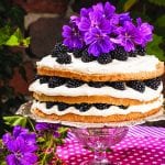 torta s černicami a mascarpone