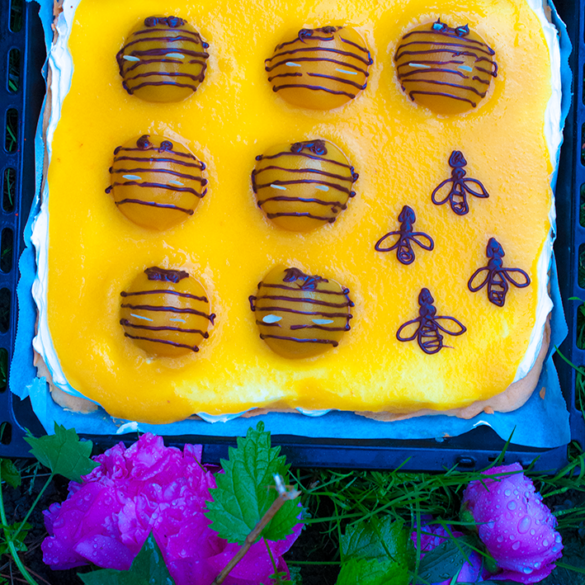včelí koláč s tvarohom recept